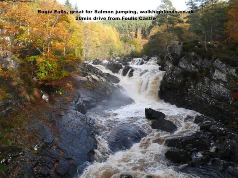 Foulis Cottage, Foulis Estate, Highland Scotland Ardullie Ngoại thất bức ảnh