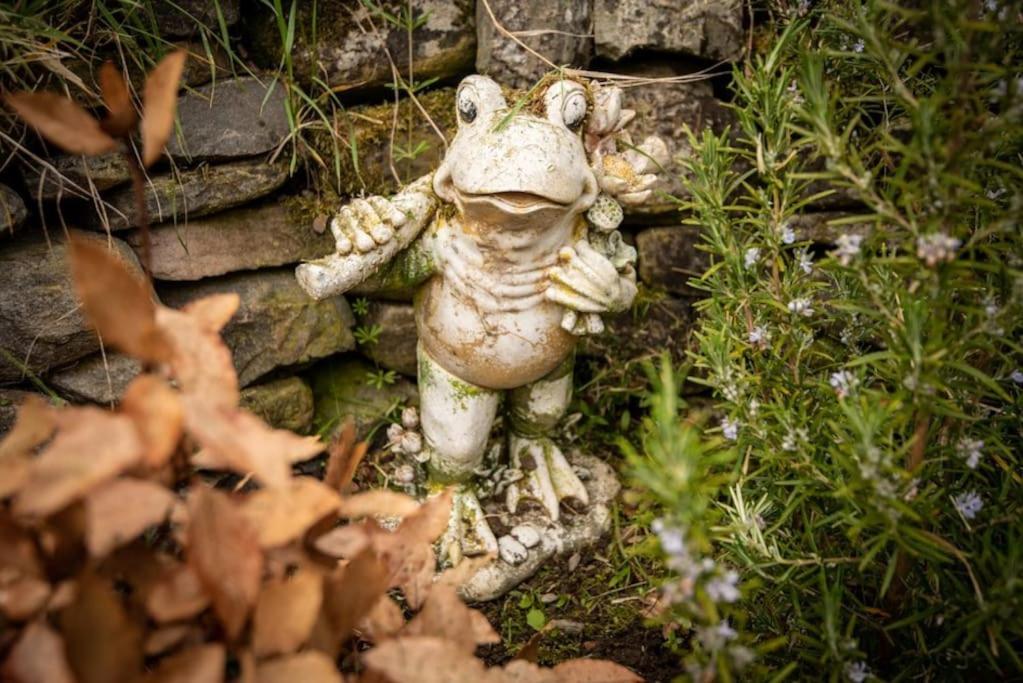 Foulis Cottage, Foulis Estate, Highland Scotland Ardullie Ngoại thất bức ảnh